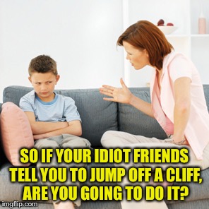 SO IF YOUR IDIOT FRIENDS TELL YOU TO JUMP OFF A CLIFF, ARE YOU GOING TO DO IT? | made w/ Imgflip meme maker