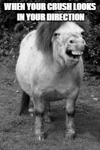 ugly horse | WHEN YOUR CRUSH LOOKS IN YOUR DIRECTION | image tagged in ugly horse | made w/ Imgflip meme maker