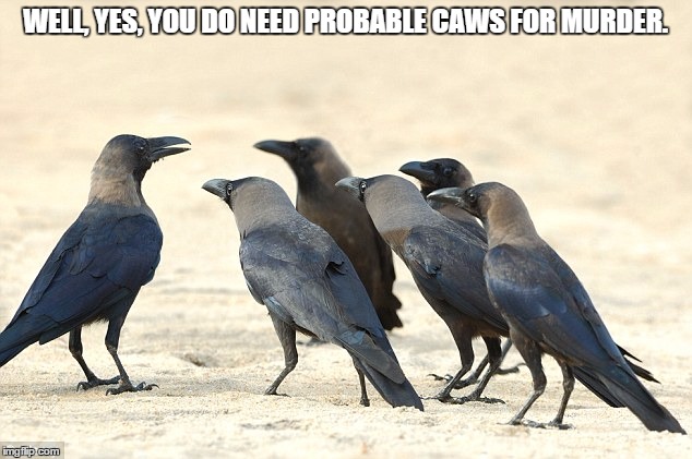 PROBABLE CAWS FOR MURDER CROWS |  WELL, YES, YOU DO NEED PROBABLE CAWS FOR MURDER. | image tagged in probable caws,puns,bad puns | made w/ Imgflip meme maker