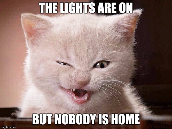 THE LIGHTS ARE ON BUT NOBODY IS HOME | made w/ Imgflip meme maker