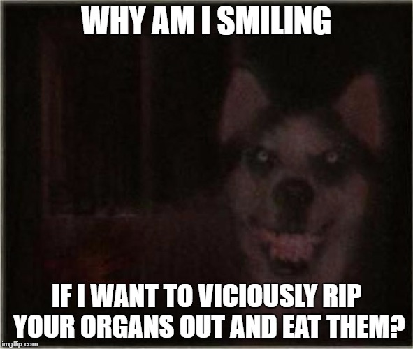 The Faked Smile | WHY AM I SMILING; IF I WANT TO VICIOUSLY RIP YOUR ORGANS OUT AND EAT THEM? | image tagged in smile dog | made w/ Imgflip meme maker