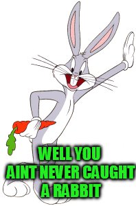 WELL YOU AINT NEVER CAUGHT A RABBIT | made w/ Imgflip meme maker