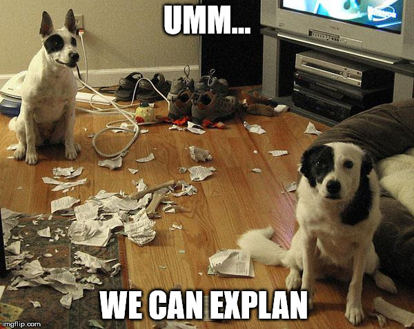 guiltydogs | UMM... WE CAN EXPLAN | image tagged in guiltydogs | made w/ Imgflip meme maker