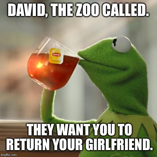 But That's None Of My Business Meme | DAVID, THE ZOO CALLED. THEY WANT YOU TO RETURN YOUR GIRLFRIEND. | image tagged in memes,but thats none of my business,kermit the frog | made w/ Imgflip meme maker