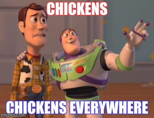 X, X Everywhere | CHICKENS; CHICKENS EVERYWHERE | image tagged in memes,x x everywhere | made w/ Imgflip meme maker