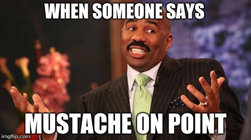 Steve Harvey | WHEN SOMEONE SAYS; MUSTACHE ON POINT | image tagged in memes,steve harvey | made w/ Imgflip meme maker