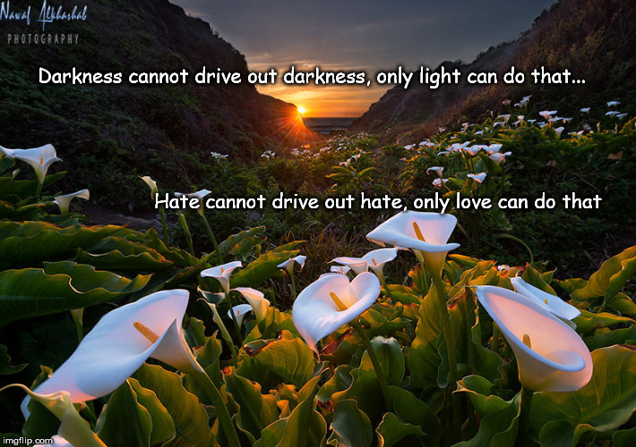 Darkness cannot drive out darkness, only light can do that... Hate cannot drive out hate, only love can do that | image tagged in big sur lili valley | made w/ Imgflip meme maker