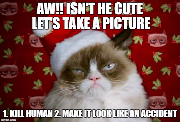 Grumpy Santa Cat | AW!! ISN'T HE CUTE LET'S TAKE A PICTURE; 1. KILL HUMAN 2. MAKE IT LOOK LIKE AN ACCIDENT | image tagged in grumpy santa cat | made w/ Imgflip meme maker