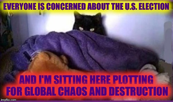 EVERYONE IS CONCERNED ABOUT THE U.S. ELECTION AND I'M SITTING HERE PLOTTING FOR GLOBAL CHAOS AND DESTRUCTION | made w/ Imgflip meme maker