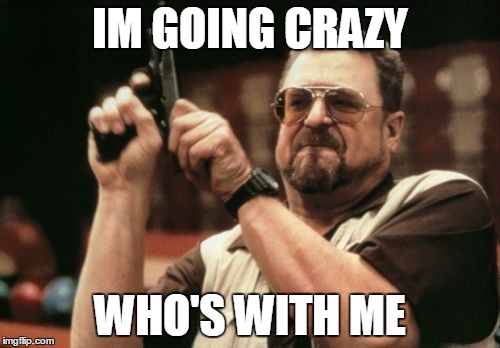 Am I The Only One Around Here | IM GOING CRAZY; WHO'S WITH ME | image tagged in memes,am i the only one around here | made w/ Imgflip meme maker