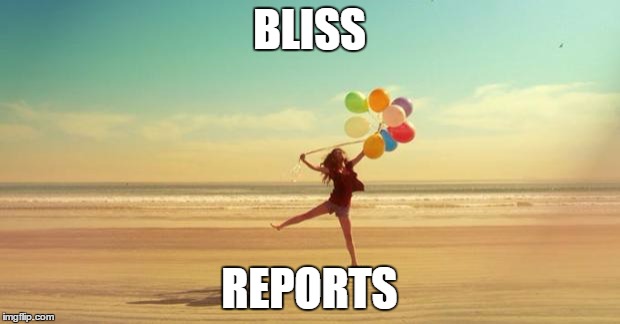 Inspirational | BLISS; REPORTS | image tagged in inspirational | made w/ Imgflip meme maker