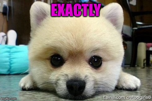 EXACTLY | made w/ Imgflip meme maker
