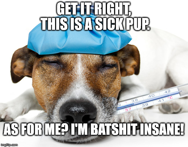 Sick Pup | GET IT RIGHT, THIS IS A SICK PUP. AS FOR ME? I'M BATSHIT INSANE! | image tagged in sick pup | made w/ Imgflip meme maker