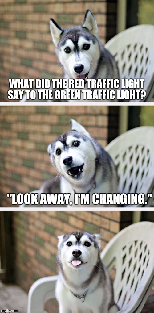 Bad Pun Dog 2 | WHAT DID THE RED TRAFFIC LIGHT SAY TO THE GREEN TRAFFIC LIGHT? "LOOK AWAY, I'M CHANGING." | image tagged in bad pun dog 2 | made w/ Imgflip meme maker