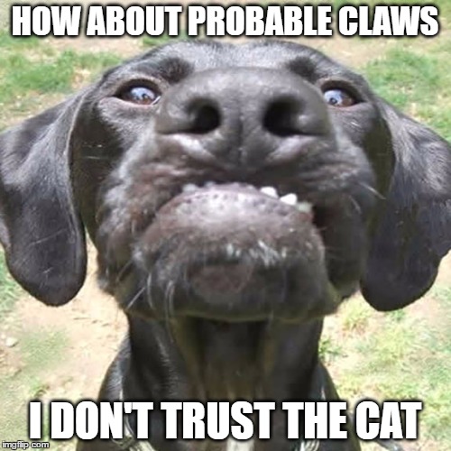 HOW ABOUT PROBABLE CLAWS I DON'T TRUST THE CAT | made w/ Imgflip meme maker