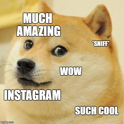 Doge | MUCH AMAZING; *SNIFF*; WOW; INSTAGRAM; SUCH COOL | image tagged in memes,doge | made w/ Imgflip meme maker