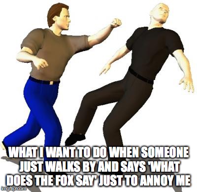 Punch | WHAT I WANT TO DO WHEN SOMEONE JUST WALKS BY AND SAYS 'WHAT DOES THE FOX SAY' JUST TO ANNOY ME | image tagged in punch | made w/ Imgflip meme maker