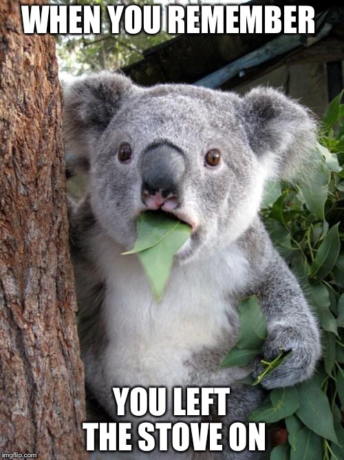 Surprised Koala | WHEN YOU REMEMBER; YOU LEFT THE STOVE ON | image tagged in memes,surprised koala | made w/ Imgflip meme maker
