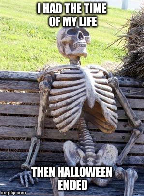 Waiting Skeleton | I HAD THE TIME OF MY LIFE; THEN HALLOWEEN ENDED | image tagged in memes,waiting skeleton | made w/ Imgflip meme maker
