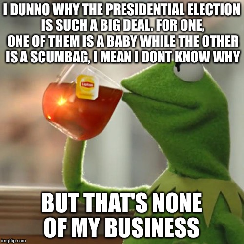 But That's None Of My Business | I DUNNO WHY THE PRESIDENTIAL ELECTION IS SUCH A BIG DEAL. FOR ONE, ONE OF THEM IS A BABY WHILE THE OTHER IS A SCUMBAG, I MEAN I DONT KNOW WHY; BUT THAT'S NONE OF MY BUSINESS | image tagged in memes,but thats none of my business,kermit the frog | made w/ Imgflip meme maker