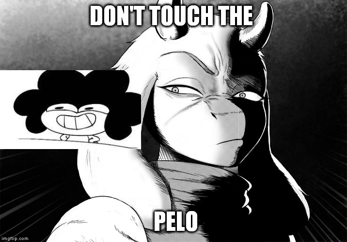 Toriel Death Stare | DON'T TOUCH THE; PELO | image tagged in toriel death stare | made w/ Imgflip meme maker