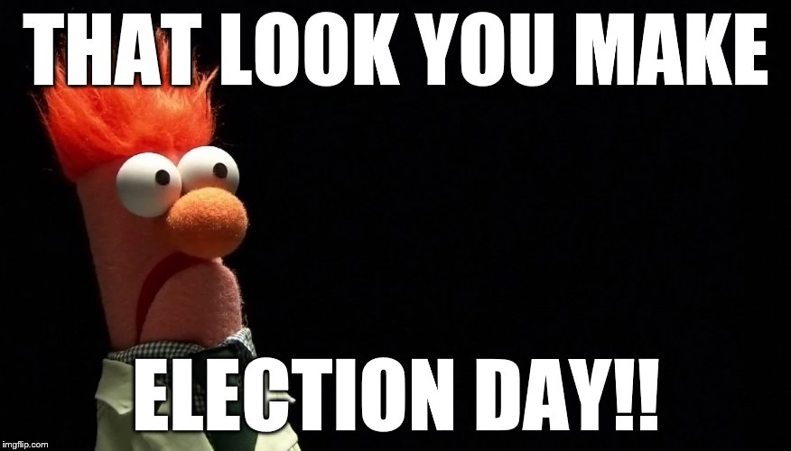 THAT LOOK YOU MAKE; ELECTION DAY!! | image tagged in voting | made w/ Imgflip meme maker