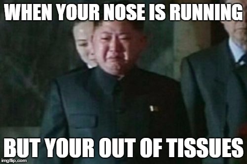 I have a cold | WHEN YOUR NOSE IS RUNNING; BUT YOUR OUT OF TISSUES | image tagged in memes,kim jong un sad | made w/ Imgflip meme maker