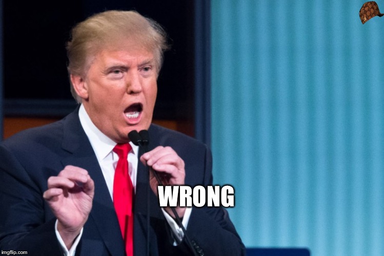 donald trump I love | WRONG | image tagged in donald trump i love,scumbag | made w/ Imgflip meme maker