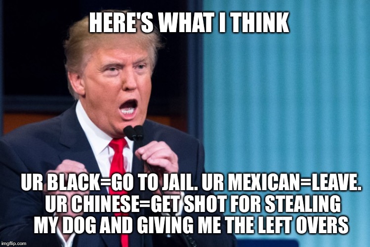 donald trump I love | HERE'S WHAT I THINK; UR BLACK=GO TO JAIL. UR MEXICAN=LEAVE. UR CHINESE=GET SHOT FOR STEALING MY DOG AND GIVING ME THE LEFT OVERS | image tagged in donald trump i love | made w/ Imgflip meme maker
