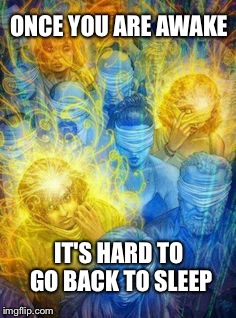 Forever Awake | ONCE YOU ARE AWAKE; IT'S HARD TO GO BACK TO SLEEP | image tagged in enlightenment,satori,lifting the veil,seeing,awake,asleep | made w/ Imgflip meme maker
