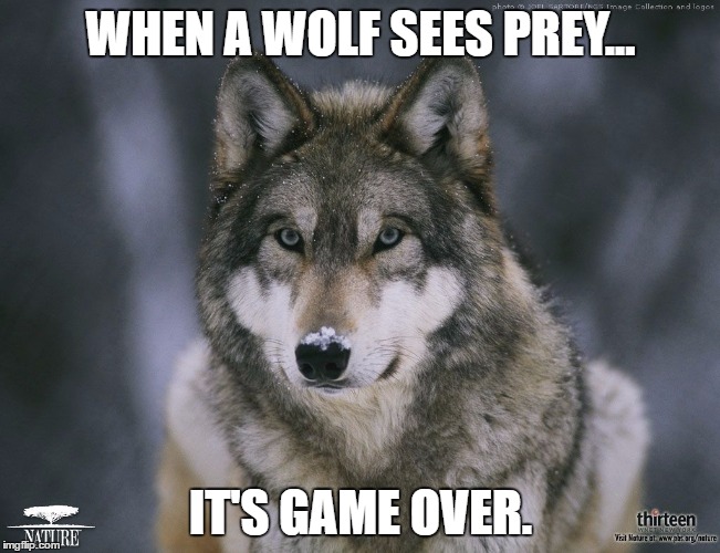 prey video game memes