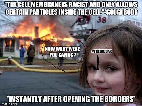 Cell Membrane | "THE CELL MEMBRANE IS RACIST AND ONLY ALLOWS CERTAIN PARTICLES INSIDE THE CELL."-GOLGI BODY; NOW WHAT WERE YOU SAYING? #FREEKODAK; *INSTANTLY AFTER OPENING THE BORDERS* | image tagged in meme,disaster girl,cell,organelle | made w/ Imgflip meme maker