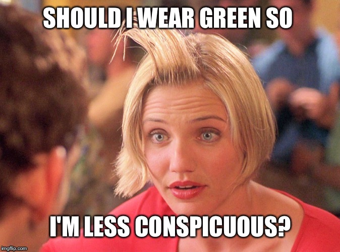 Mary hair gel | SHOULD I WEAR GREEN SO I'M LESS CONSPICUOUS? | image tagged in mary hair gel | made w/ Imgflip meme maker