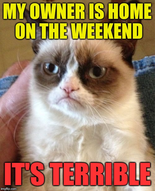 Grumpy Cat Meme | MY OWNER IS HOME ON THE WEEKEND IT'S TERRIBLE | image tagged in memes,grumpy cat | made w/ Imgflip meme maker