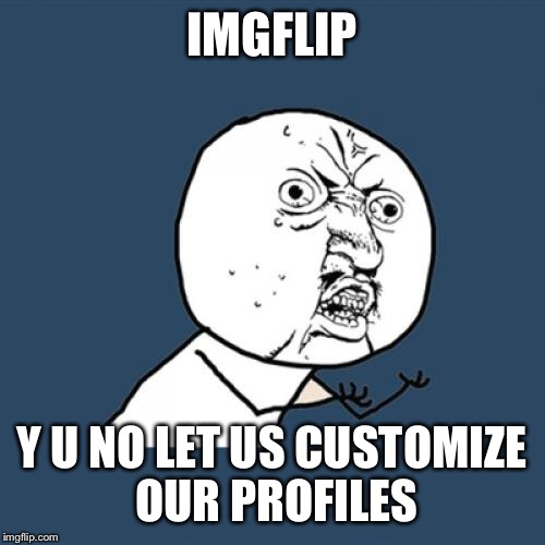 Who else thinks this would be cool? Discussion/opinions in the comments | IMGFLIP; Y U NO LET US CUSTOMIZE OUR PROFILES | image tagged in memes,y u no | made w/ Imgflip meme maker