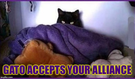 GATO ACCEPTS YOUR ALLIANCE | made w/ Imgflip meme maker