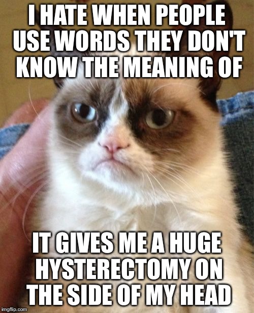 Grumpy Cat | I HATE WHEN PEOPLE USE WORDS THEY DON'T KNOW THE MEANING OF; IT GIVES ME A HUGE HYSTERECTOMY ON THE SIDE OF MY HEAD | image tagged in memes,grumpy cat | made w/ Imgflip meme maker