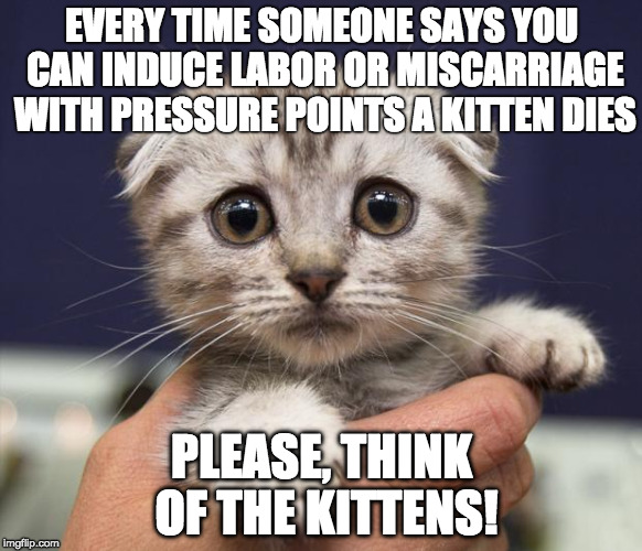Scared Kitten | EVERY TIME SOMEONE SAYS YOU CAN INDUCE LABOR OR MISCARRIAGE WITH PRESSURE POINTS A KITTEN DIES; PLEASE, THINK OF THE KITTENS! | image tagged in scared kitten | made w/ Imgflip meme maker