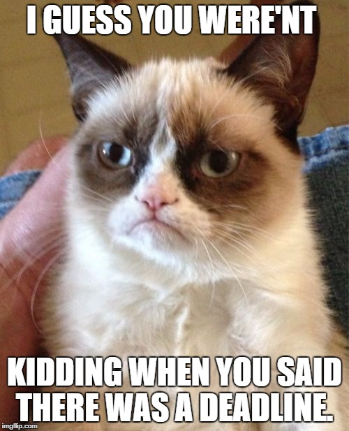 Grumpy Cat Meme | I GUESS YOU WERE'NT; KIDDING WHEN YOU SAID THERE WAS A DEADLINE. | image tagged in memes,grumpy cat | made w/ Imgflip meme maker