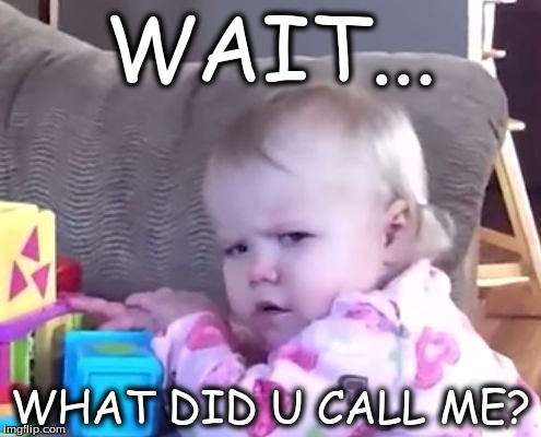 WAIT... WHAT DID U CALL ME? | image tagged in what | made w/ Imgflip meme maker