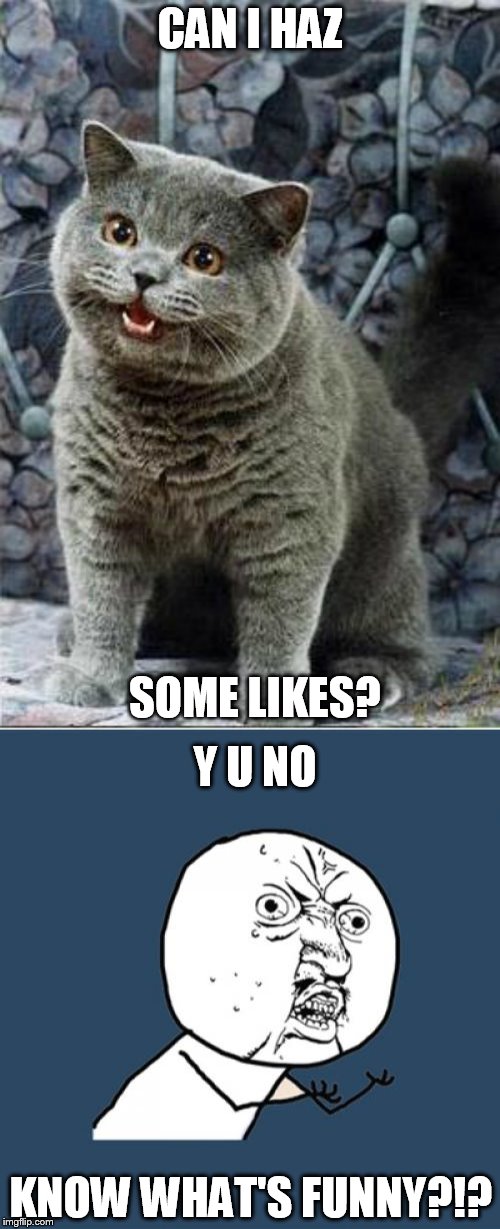 Feeling a little sensitive... | CAN I HAZ; SOME LIKES? Y U NO; KNOW WHAT'S FUNNY?!? | image tagged in memes,y u no | made w/ Imgflip meme maker