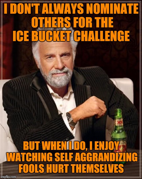 The Most Interesting Man In The World Meme | I DON'T ALWAYS NOMINATE OTHERS FOR THE ICE BUCKET CHALLENGE BUT WHEN I DO, I ENJOY WATCHING SELF AGGRANDIZING FOOLS HURT THEMSELVES | image tagged in memes,the most interesting man in the world | made w/ Imgflip meme maker