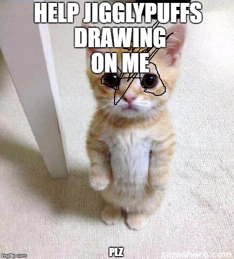 Cute Cat Meme | HELP JIGGLYPUFFS DRAWING ON ME; PLZ | image tagged in memes,cute cat | made w/ Imgflip meme maker