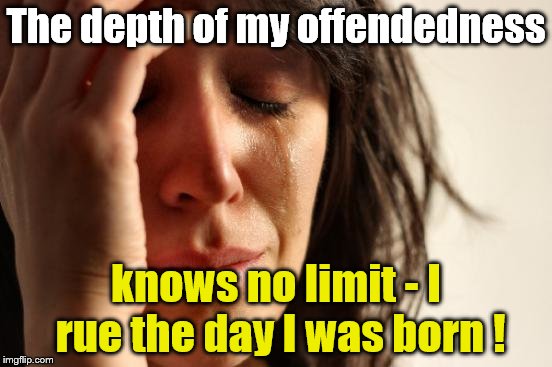 First World Problems Meme | The depth of my offendedness knows no limit - I rue the day I was born ! | image tagged in memes,first world problems | made w/ Imgflip meme maker