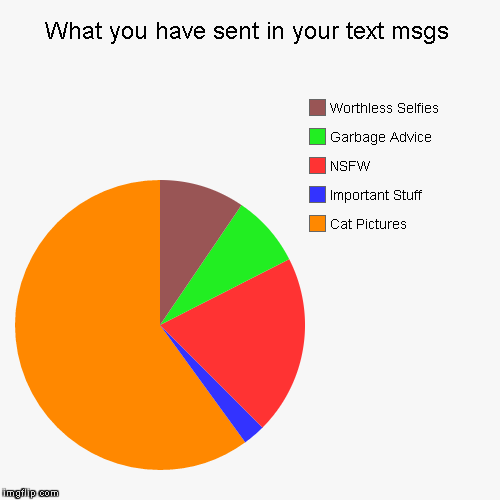 Just like the rest of the internet, the text msg is not safe from the cat picture. | image tagged in funny,pie charts | made w/ Imgflip chart maker