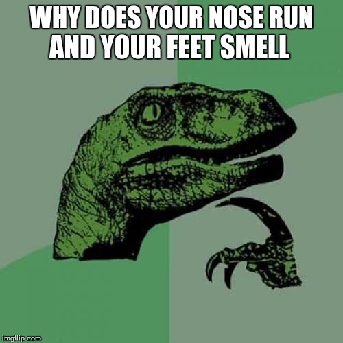 Philosoraptor Meme | WHY DOES YOUR NOSE RUN; AND YOUR FEET SMELL | image tagged in memes,philosoraptor | made w/ Imgflip meme maker