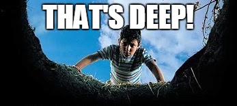 Hole in Ground | THAT'S DEEP! | image tagged in hole in ground | made w/ Imgflip meme maker