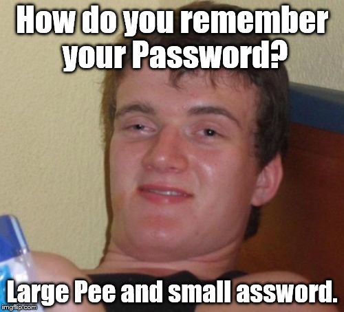 10 Guy Meme | How do you remember your Password? Large Pee and small assword. | image tagged in memes,10 guy | made w/ Imgflip meme maker