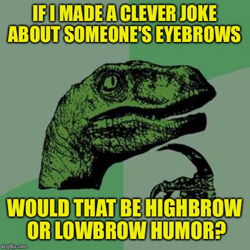 Eyebrows. | IF I MADE A CLEVER JOKE ABOUT SOMEONE'S EYEBROWS; WOULD THAT BE HIGHBROW OR LOWBROW HUMOR? | image tagged in memes,philosoraptor,dank memes,eyebrows,funny memes,funny | made w/ Imgflip meme maker