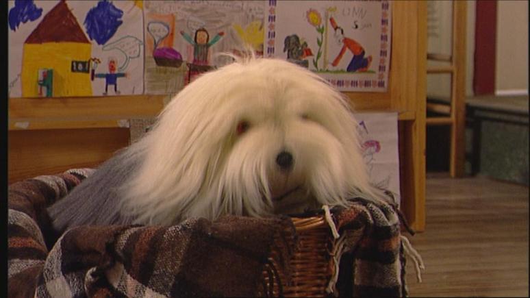 samson Blank Meme Template